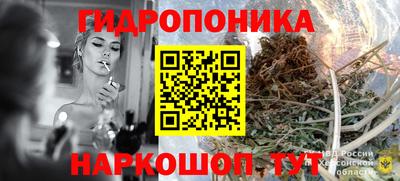 индика Пушкино