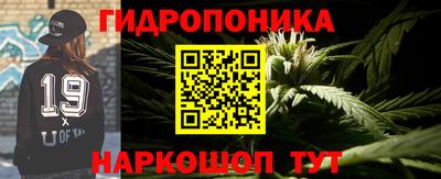 индика Пушкино
