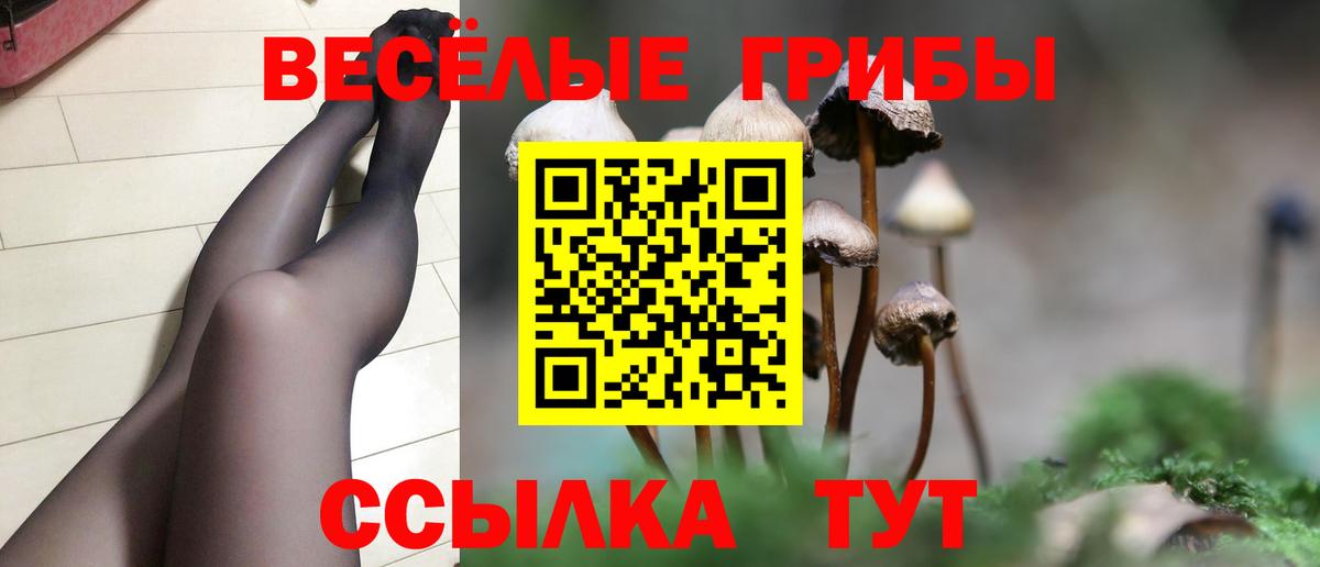 дарнет шоп  Вход с VPN  Алейск  Галлюциногенные грибы мицелий 
